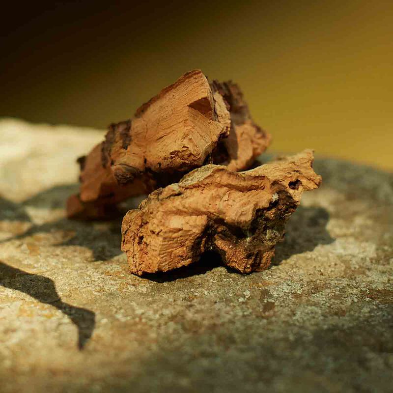 gucci gucci memoire d'une odeur  eau de parfum