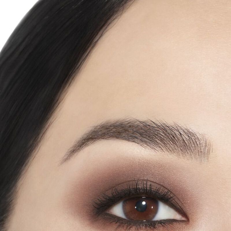 chanel ombre premiere