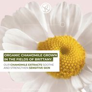 Pure camomille The soothing makeup removing oil 150ML faces pure camomille the soothing makeup removing oil 150ml