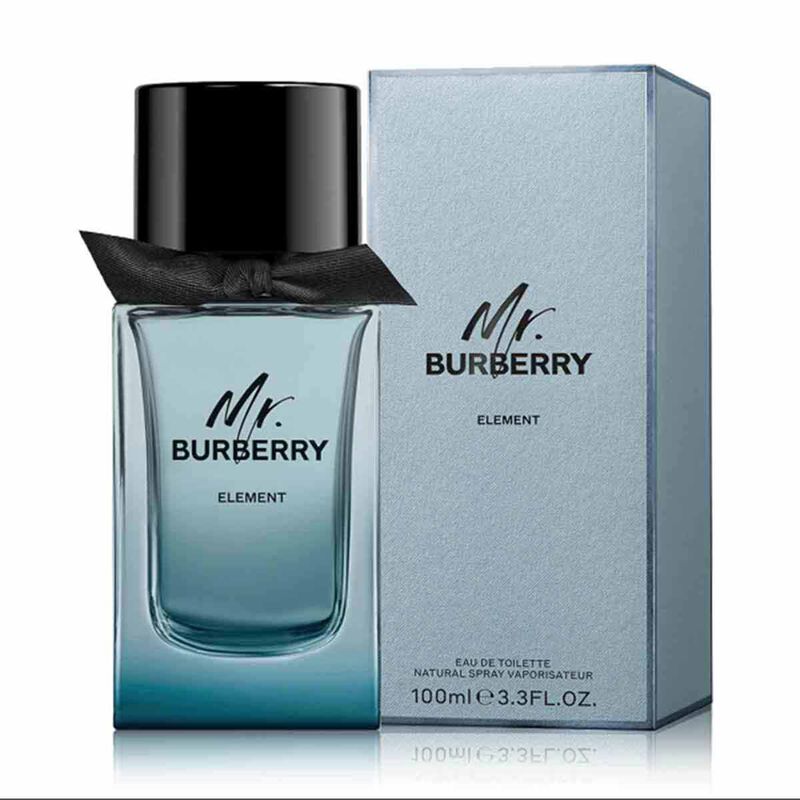 burberry burberry mr. burberry element eau de toilette