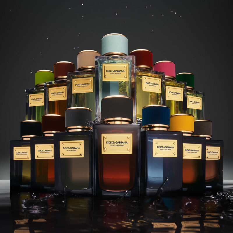 dolce & gabbana velvet zafferano