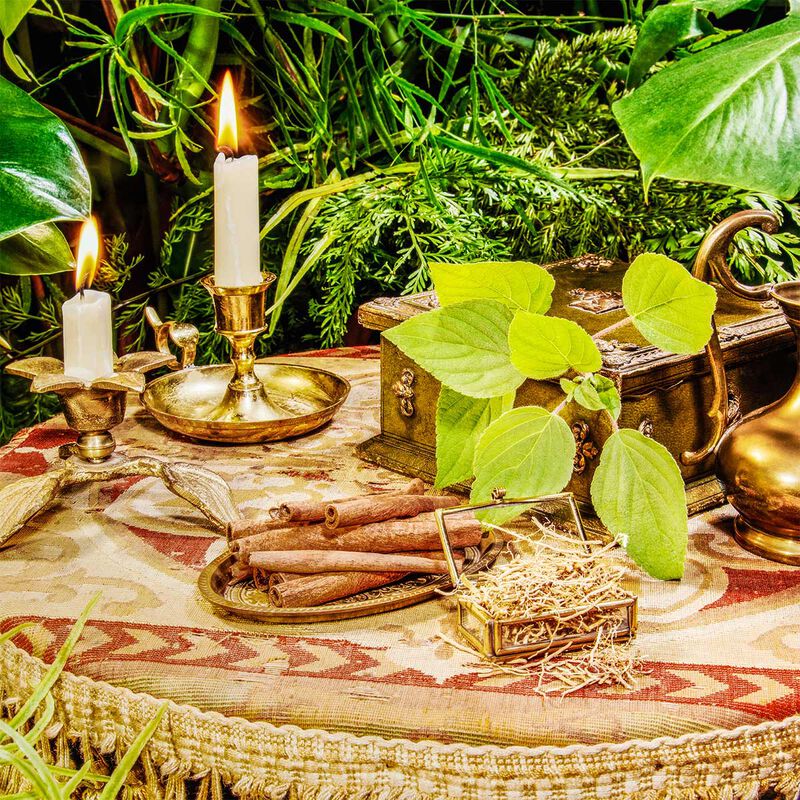 gucci the alchemist's garden a gloaming night eau de parfum