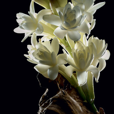 faces supreme bouquet eau de parfum