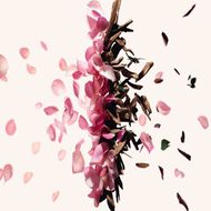 faces عطر إيريزيستيبل أو دو بارفان