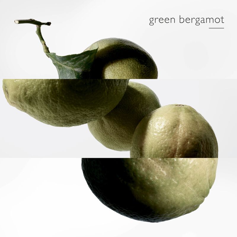 hermes terre d'hermes eau intense vetiver eau de parfum