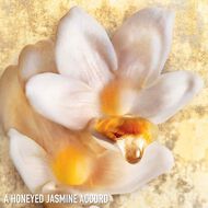 J'adore absolu absolue Eau de Parfum faces j adore absolu absolue eau de parfum