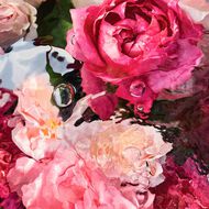 عطر روزا روسا أو دو تواليت 125مل faces عطر روزا روسا أو دو تواليت 125مل