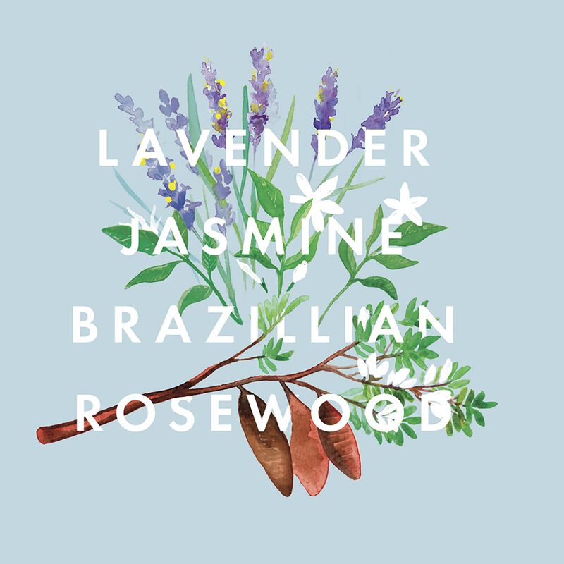 neom organics scented candle 1 wick real luxury