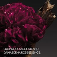 faces gucci a reason to love eau de parfum