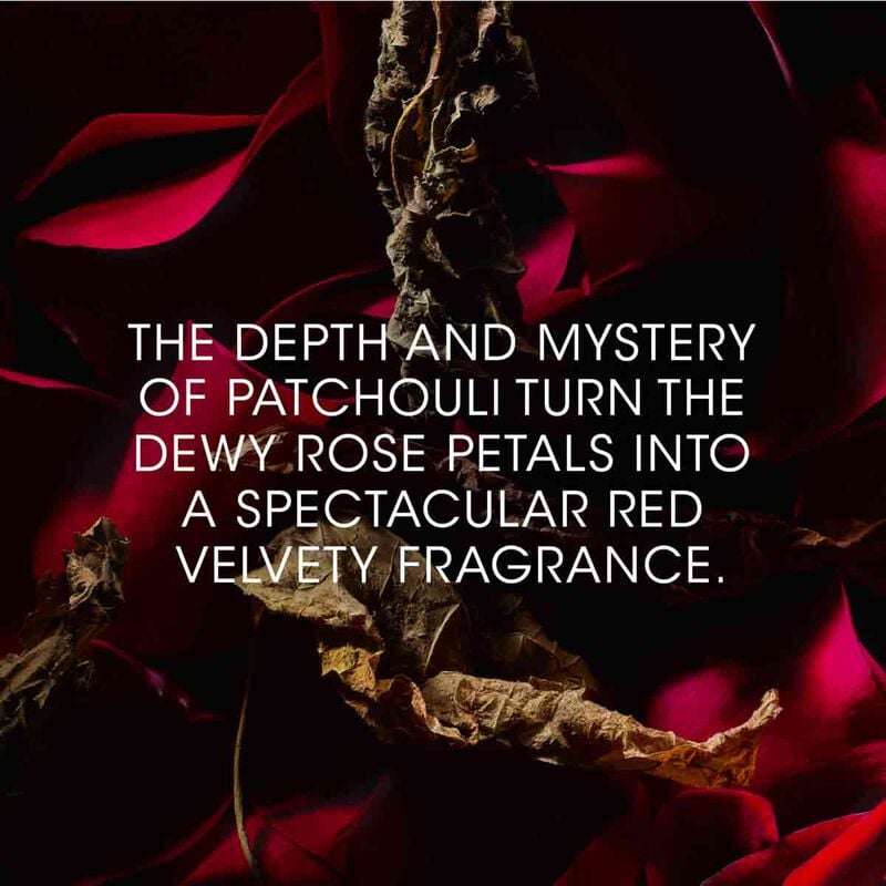 إيف سان لوران عطر روج فيلور لو فيستيير