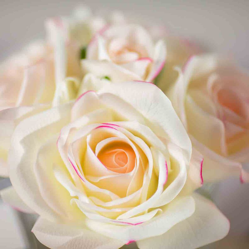 كوت نوار معطر جو 5 روز وردي بلش في صندوق وردي مع شارة ذهبية