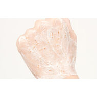 faces ماسك رايس