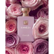 عطر الارا faces عطر الارا