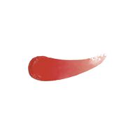 Phyto-Rouge Shine faces phyto rouge shine