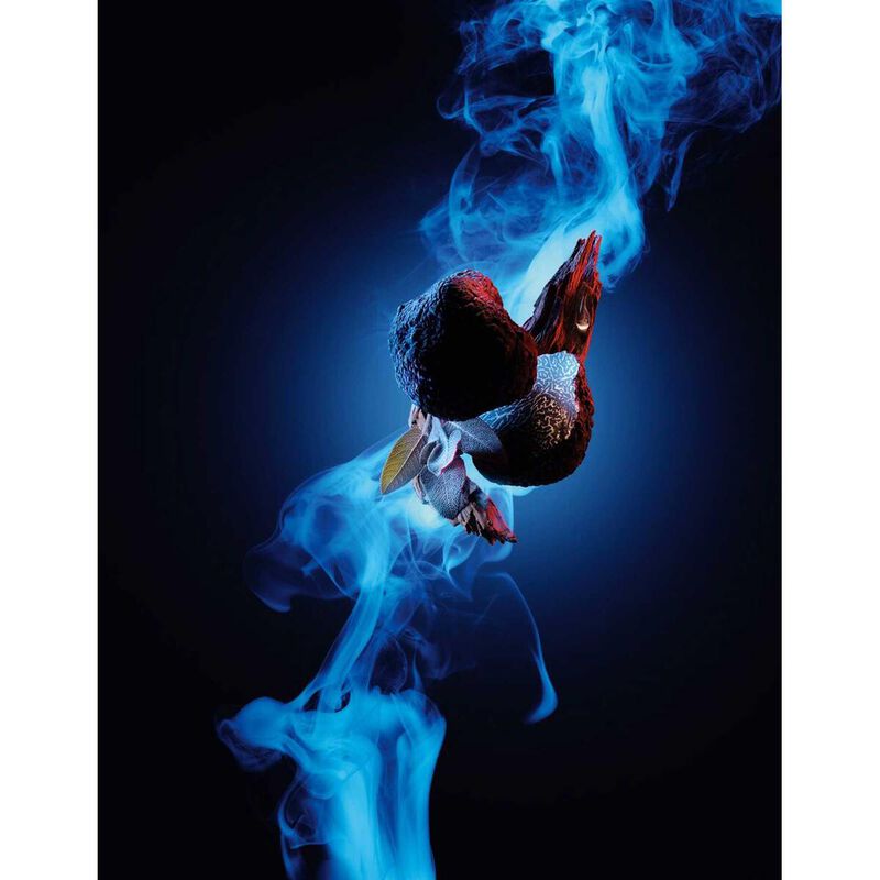 carolina herrera باد بوي كوبالت إليكسير 100 مل