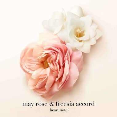 faces سي عبوة إعادة تعبئة