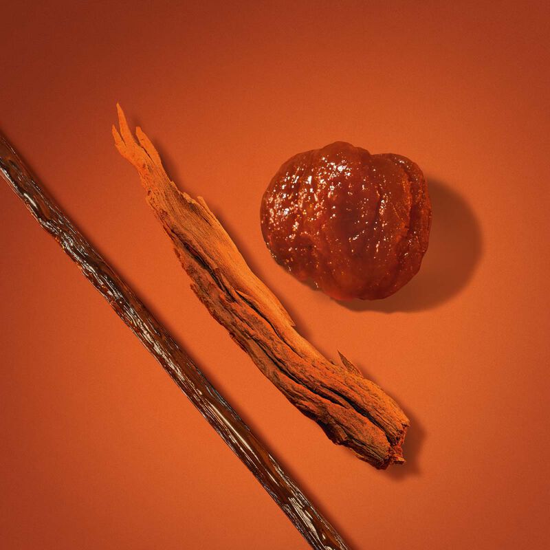 armani beauty stronger with you spices