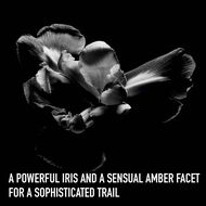 Dior Homme Intense Eau de Parfum faces dior homme intense eau de parfum