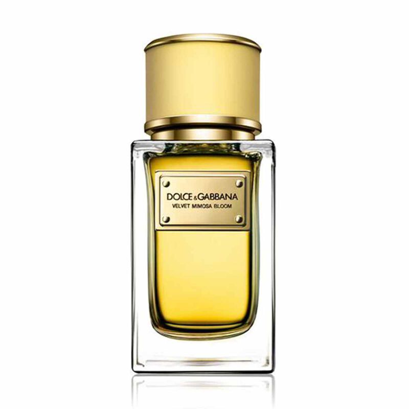 dolce & gabbana velvet mimosa bloom eau de parfum 50ml