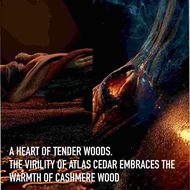 faces dior homme eau de toilette