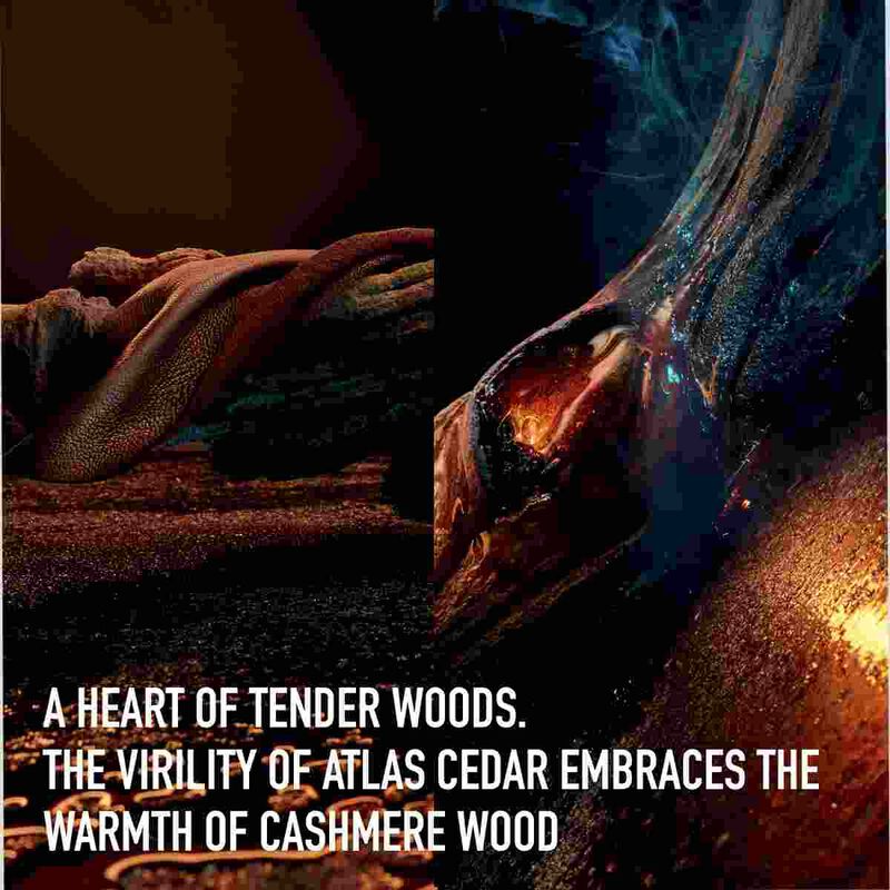 dior dior homme eau de toilette