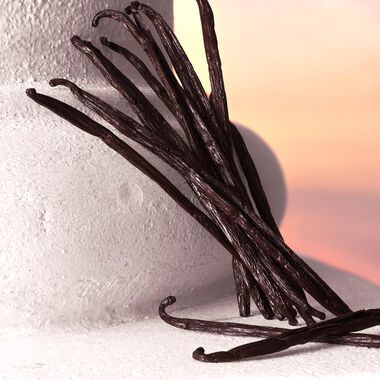 faces devotion intense