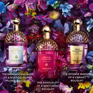 آبسولو أليغوريا فلورابلوم faces آبسولو أليغوريا فلورابلوم