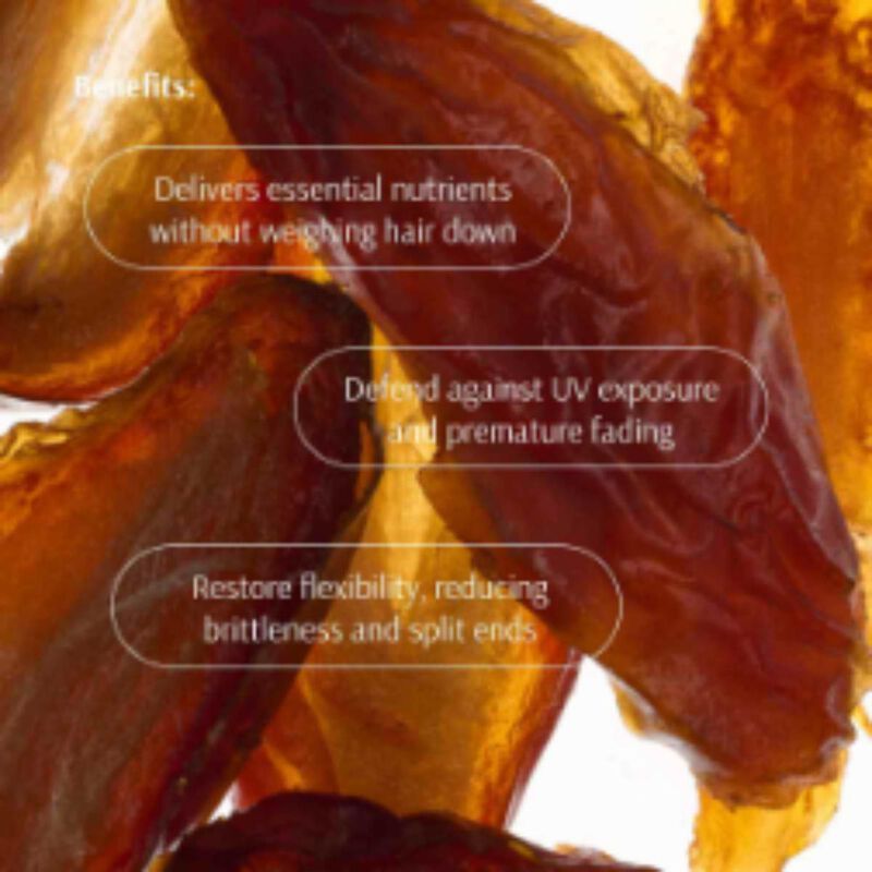 تارا نظام العناية بصحة الشعر بالتمر والفيتامينات المتعددة