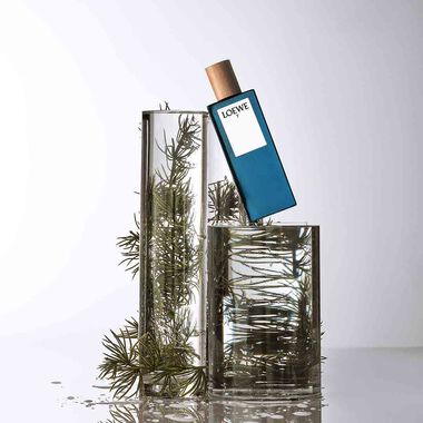 faces loewe 7 eau de toilette