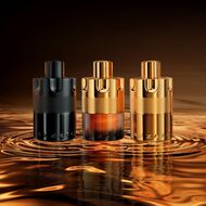 Forever Wanted Absolu faces forever wanted absolu