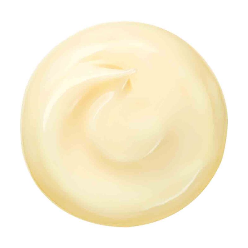 shiseido benefiance wrinkle smoothing cream enriched