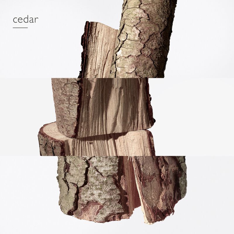 hermes terre d'hermes parfum