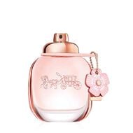 مجموعة كوتش تريو faces مجموعة كوتش تريو