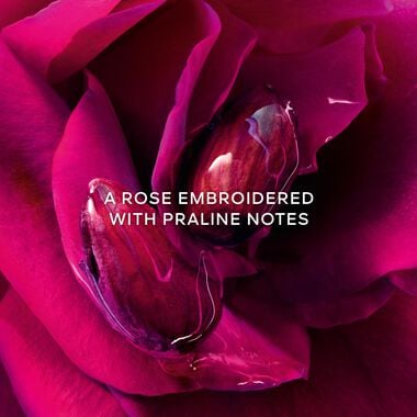 faces ماء عطر لا بيتيت روب نوار إينتنس