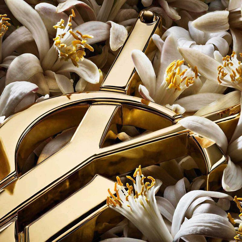 إيف سان لوران ليبر فانيلا كوتور