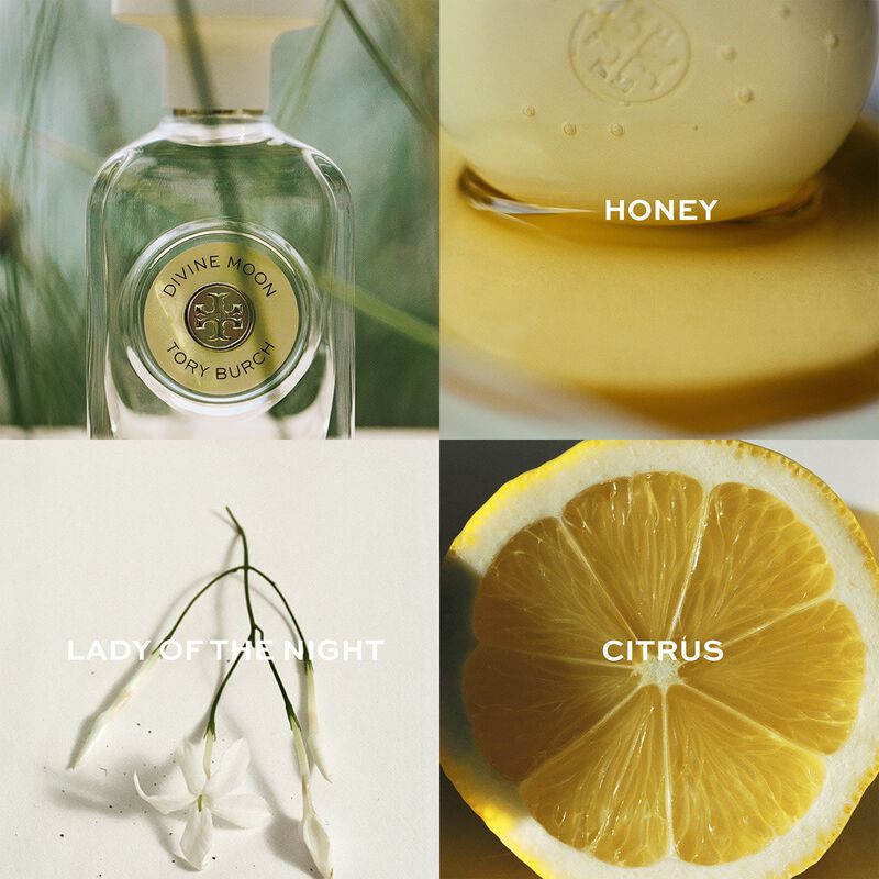 tory burch divine moon