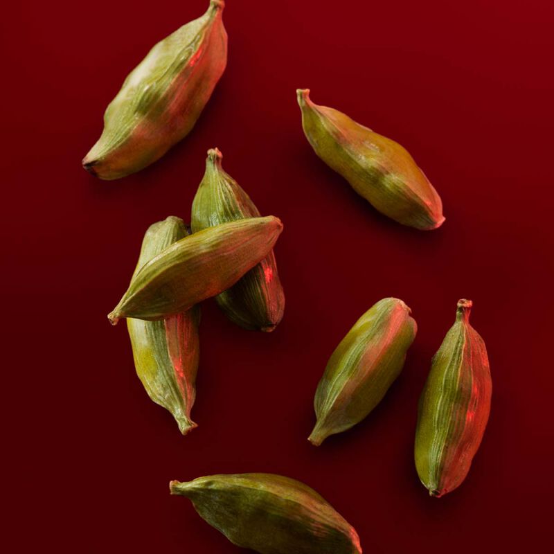 carolina herrera amazonian rose