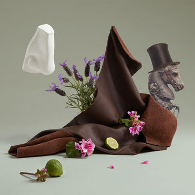 faces endymion concentre eau de parfum