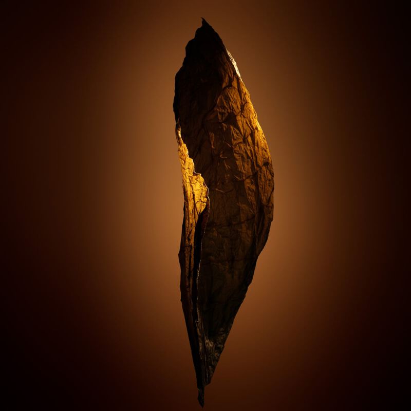 توم فورد أو دو بارفان tobacco chocolat