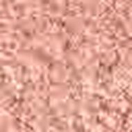 faces بودرة أحمر الخدود بلومينغ اديشن بتل غلو