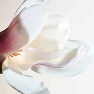 Bottega Veneta Parco Palladiano I Magnolia Eau de Parfum 100ml faces bottega veneta parco palladiano i magnolia eau de parfum 100ml