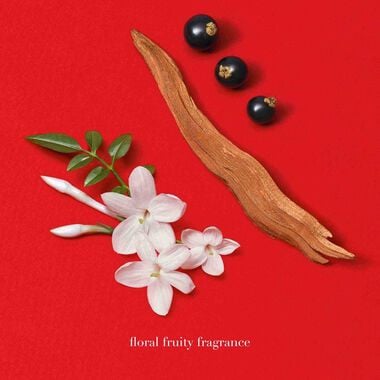 faces سي باسيوني تعبئة