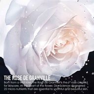 faces كريم التجديد الشامل للبشرة فيوتشر سوليوشن إل إكس e