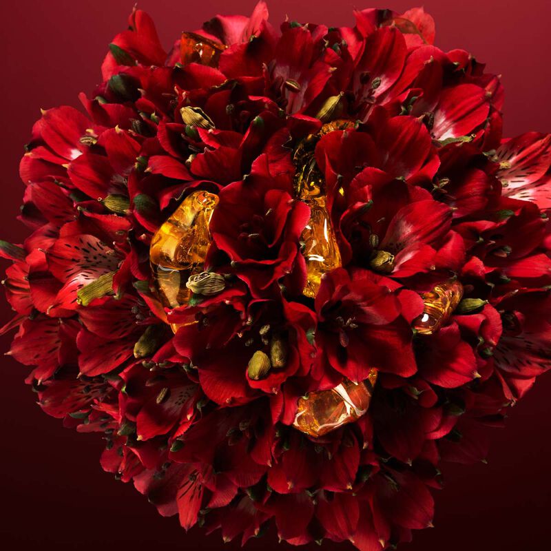 carolina herrera amazonian rose