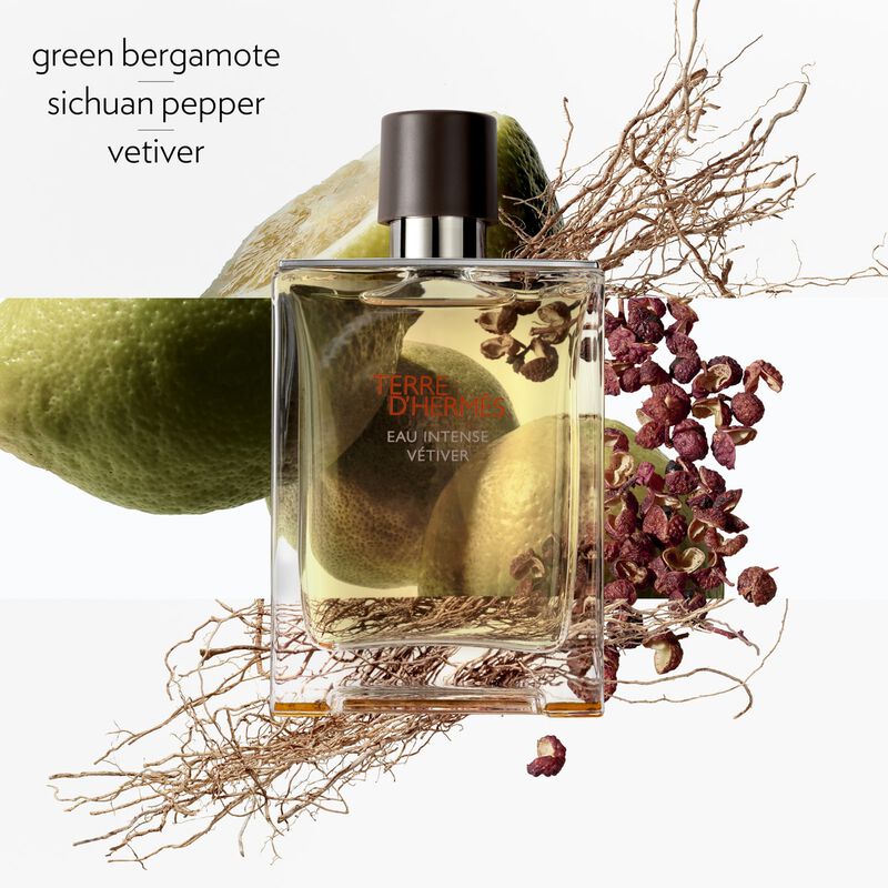 hermes terre d'hermes eau intense vetiver eau de parfum