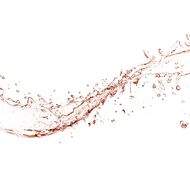 faces facial spray with aloe  herbs and rosewater