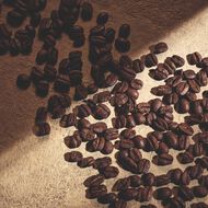 Devotion faces devotion