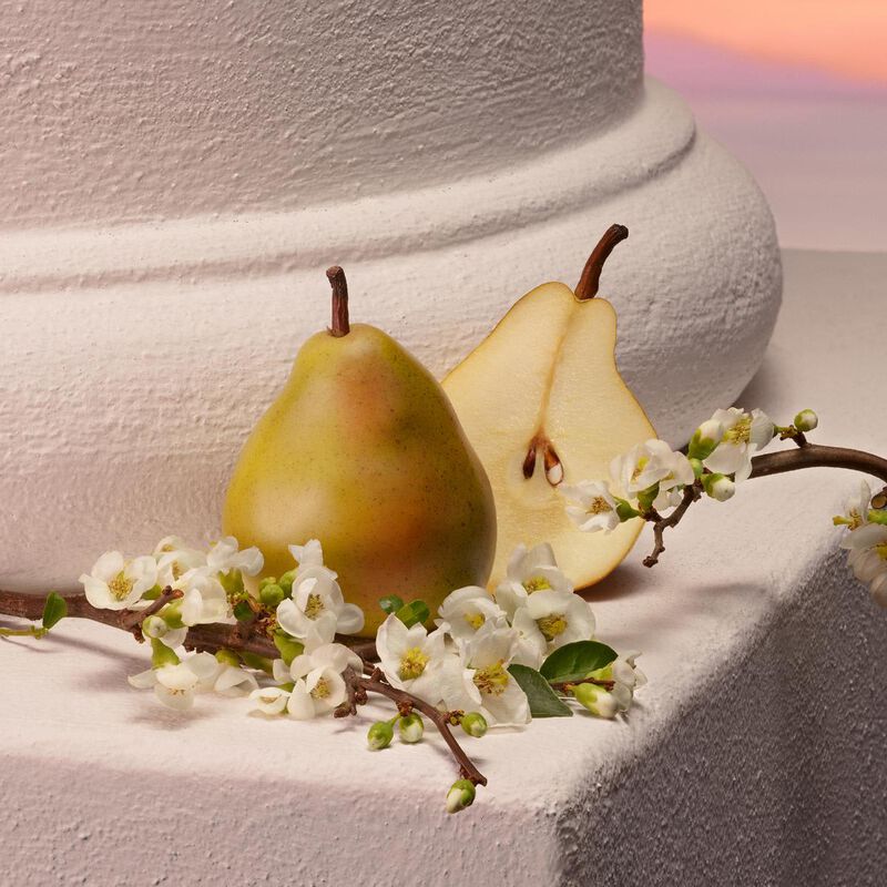 دولتشي أند غابانا ماء عطر ماي ديفوشن إينتنس