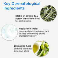 faces كالم كوول اند كوريكتيد مرطب مضاد للاحمرار