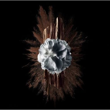 faces gentleman society eau de parfum extreme